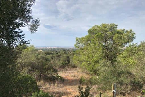 Grundstück mit Meerblick und viel Potential in Sa Cabaneta