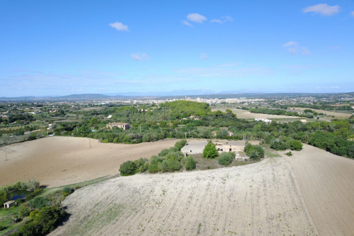 Wunderschönes Grundstück für Agrotourismus in Manacor