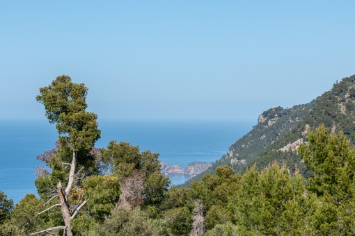 Schöner Panorama-Meerblick