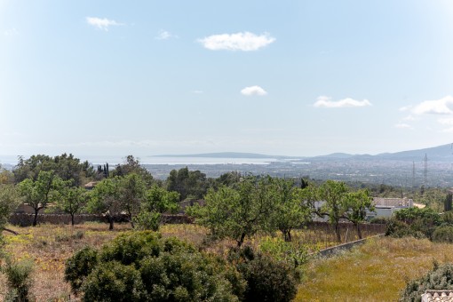 Panoramablick auf die Bucht von Palma