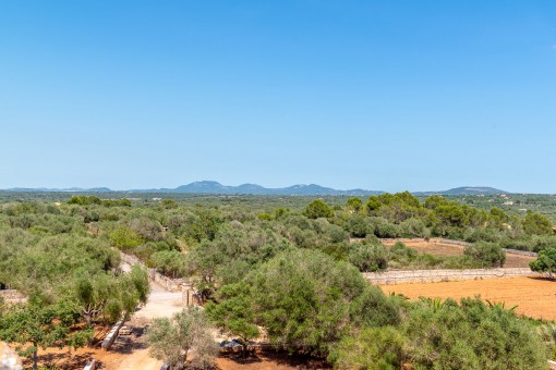 Panoramablick