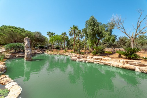 Großer Teich im Garten