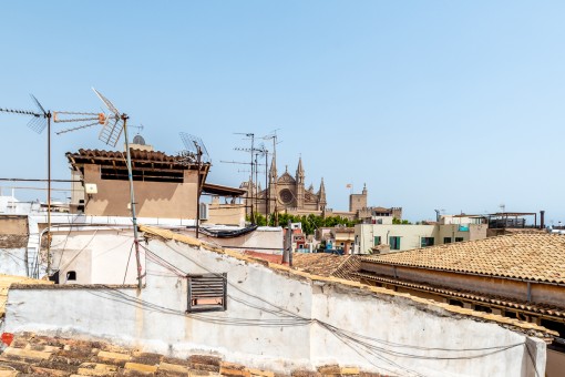 Blick zur Kathedrale