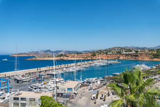 Fantastischer Hafen- und Meerblick