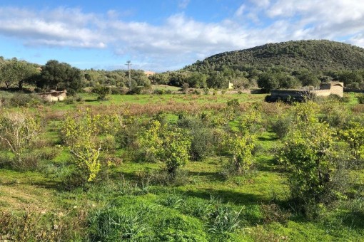 Großes Grundstück für ein freistehendes Haus mit Pool und Weitblick in Son Servera