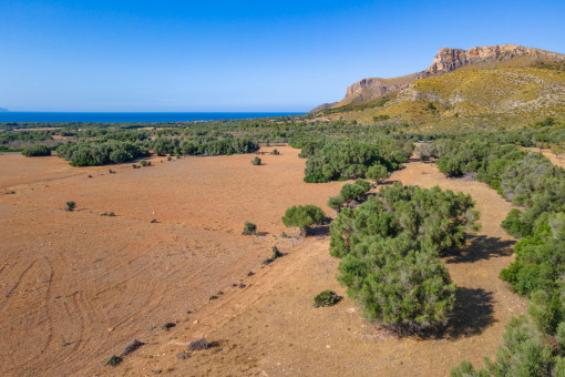 Wundervolle Landschaft