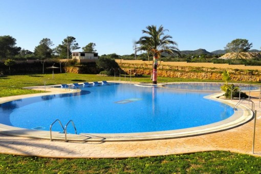 Sonniger Poolbereich