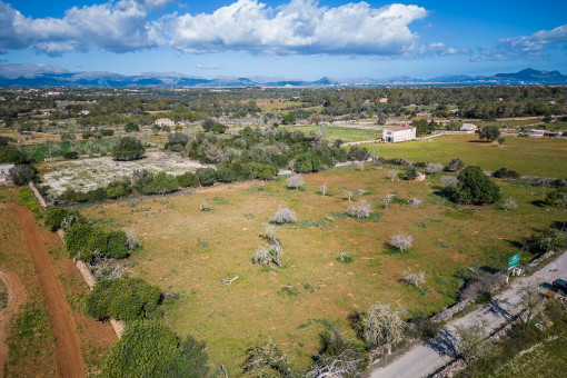 Baugenehmigungsfähiges Fincagrundstück mit Projektierung zwischen Santa Margalida und Son Serra de Marina