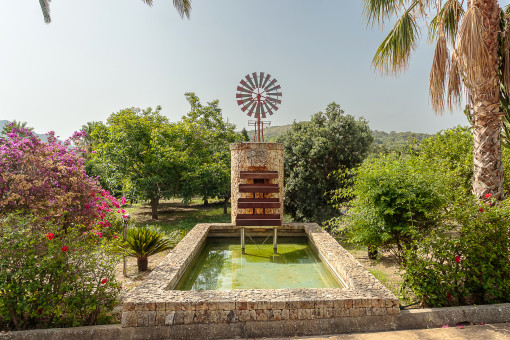 Eingewachsener Garten und Windmühle