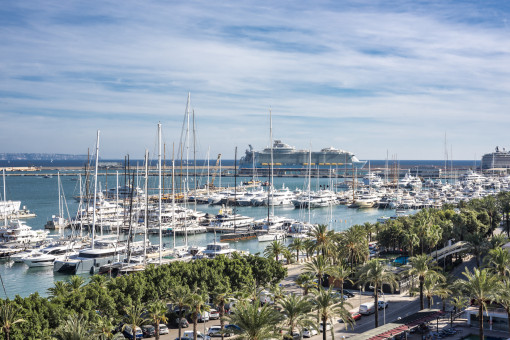 Blick über den Paseo Maritimo