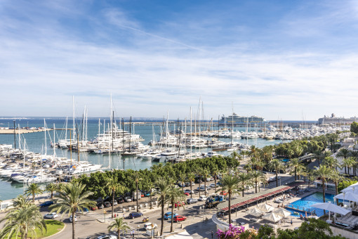 Beeindruckender Blick über den Paseo Maritimo