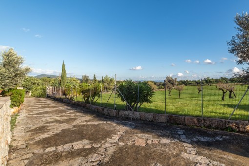 Zufahrt zur Finca