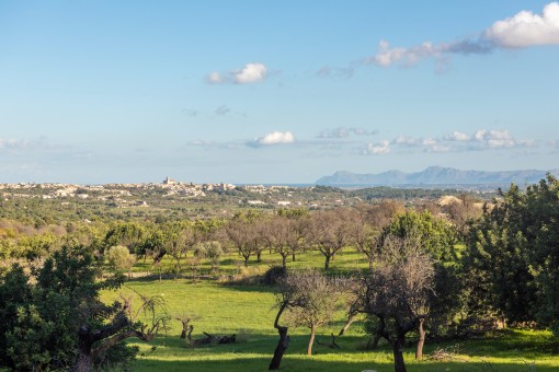 Traumhafter Panoramablick über Mallorca