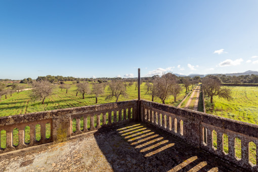 Blick vom Balkon