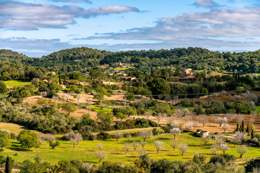 Blick auf die hügelige Landschaft