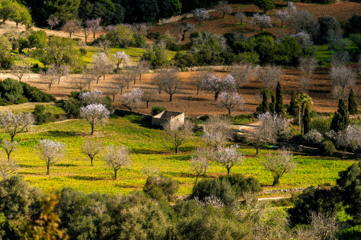 Finca umgeben von Natur