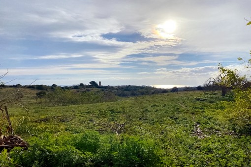 Einzigartiges Grundstück mit Altbestand und traumhaften Panoramablick bis zum Meer in S'Espinagar