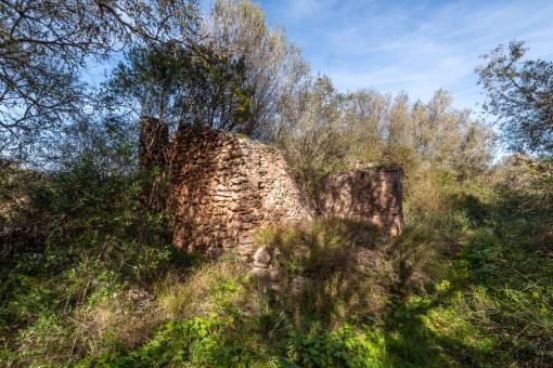 Ruine
