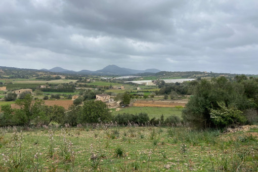 Blick in die Landschaft