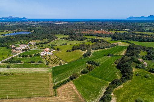 Baugenehmigungsfähiges Fincagrundstück bei Santa Margalida mit Tiefbrunnen und Stromanschluss