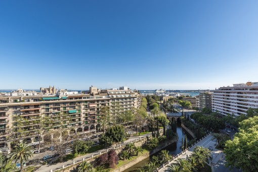 Beeindruckender Panorama-Blick über den Paseo Mallorca