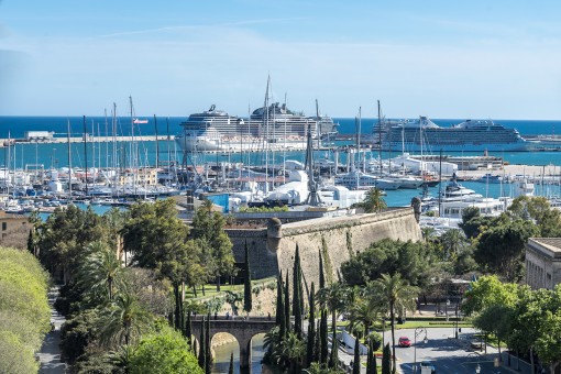 Blick auf den Hafen und den Paseo Mallorca
