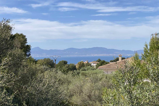 Schönes Grundstück mit Meerblick in Bellavista