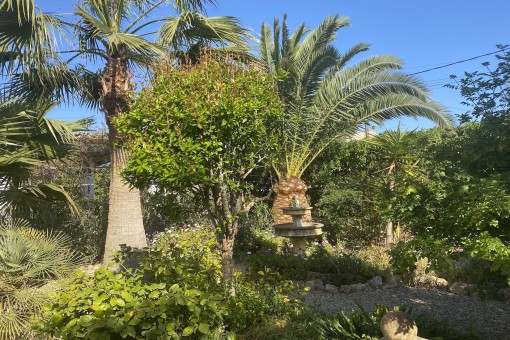 Mediterrane Gartenoase