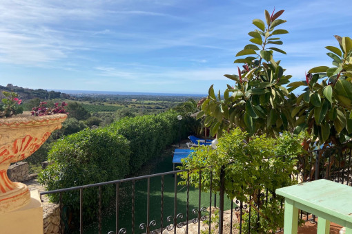 Blick vom Balkon
