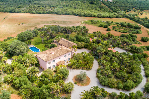 Blick auf die Zufahrt zur Finca
