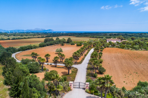 Beeindruckende Zufahrt zur Finca