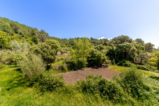 Blick auf die umgebende Natur