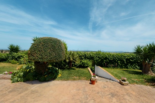 Panoramablick über das Umland von Muro 