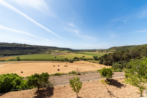 Panoramablick
