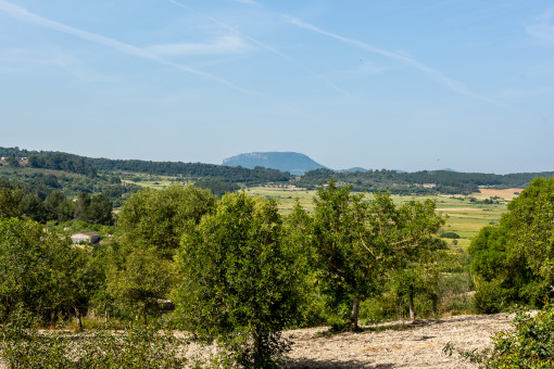 Freier Blick auf die umliegende Natur