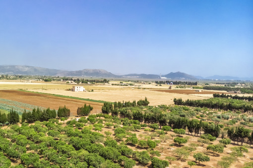 Panorama-Landschaftsblick