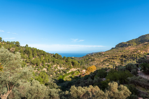 Große rustikale Finca in den Bergen, nur wenige Minuten von Deià entfernt