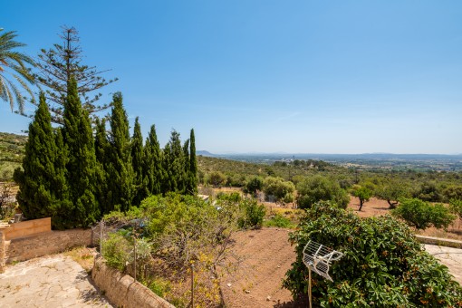 Garten und Umgebung