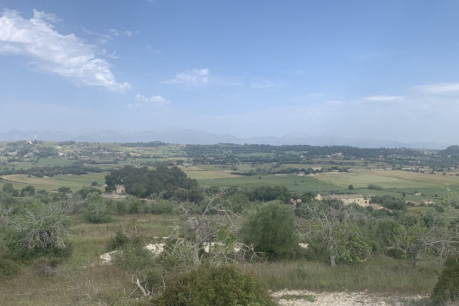 Blick vom Grundstück
