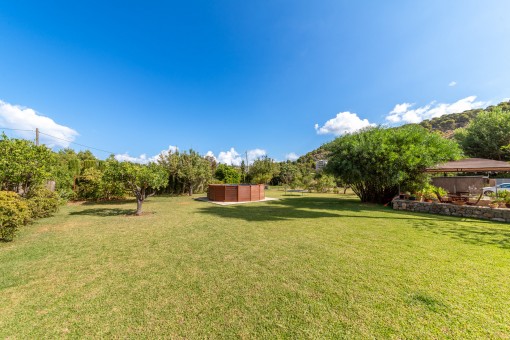 Blick in den Garten