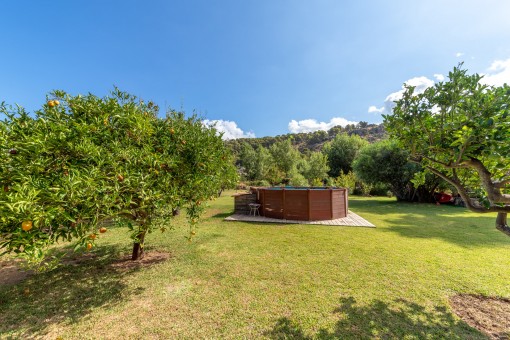 Blick in den Garten