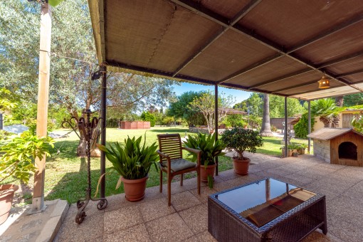 Blick in den Garten