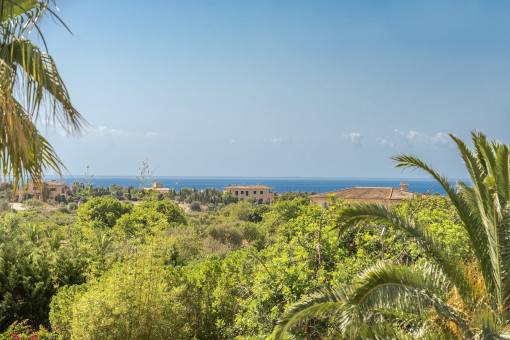 Blick zum Meer