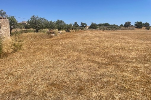 Schönes Grundstück in ruhiger Lage in Porreres