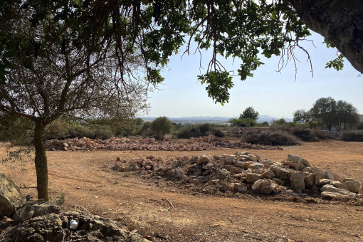 Bauprojekt - Ebenerdige Neubaufinca mit Pool und mediterranem Garten zwischen Felanitx und Manacor