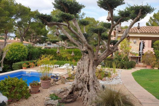 Mediterrane Villa mit viel Potenzial in der nahe dem Yachthafen in Santa Ponsa