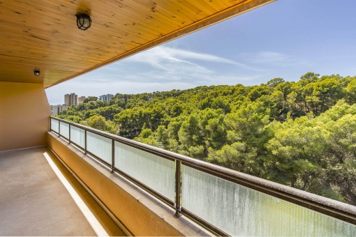 Balkon mit Ausblick in Grüne