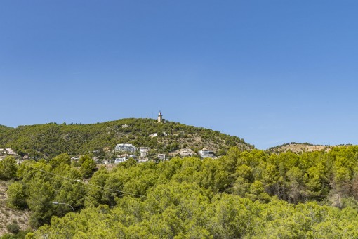 Blick vom Balkon