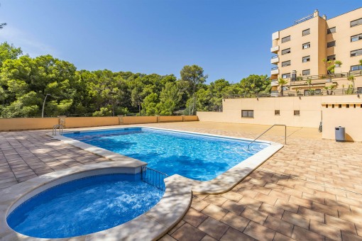 Helles renoviertes Penthouse mit Pool und Parkplatz in Cala Mayor