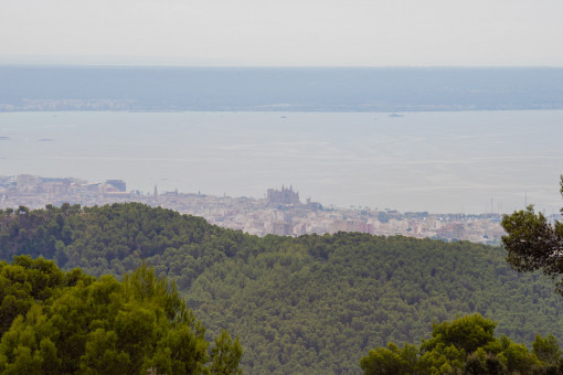 Beeindruckender Blick bis auf Palma